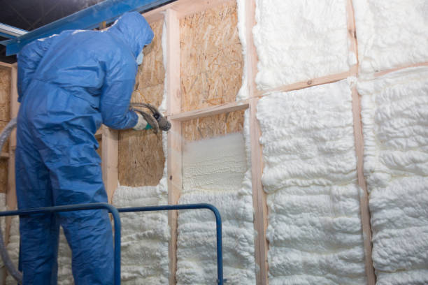 Best Insulation for Existing Homes  in USA